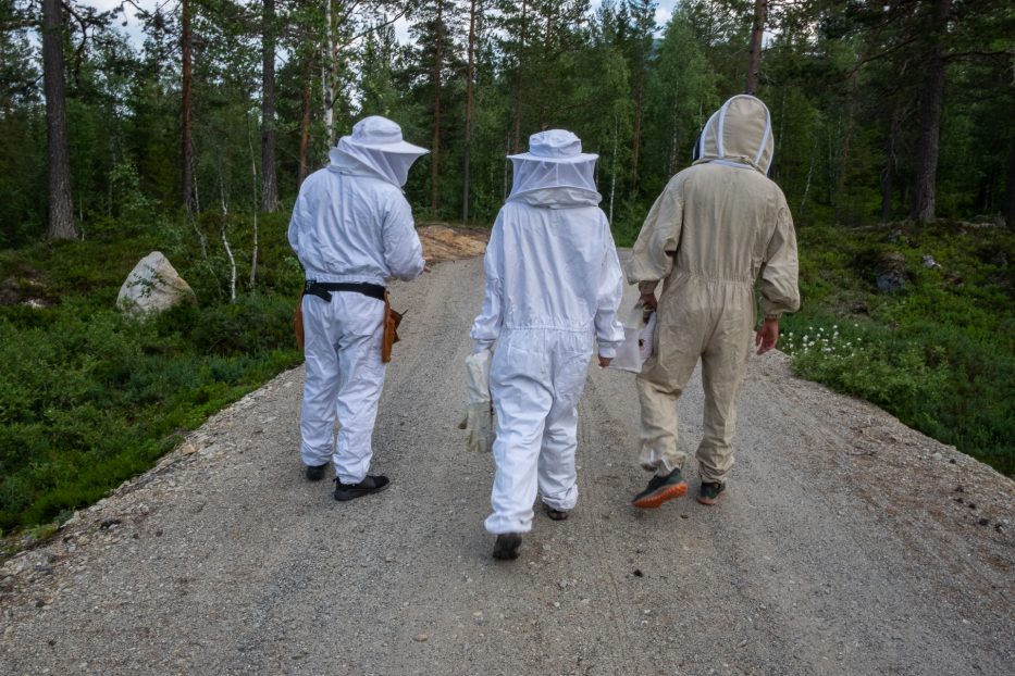 Birøkter, bier, beskyttelsesdrakt, mennesker, natur, skog