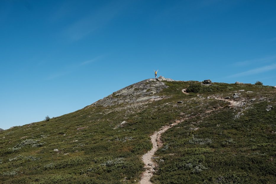 Beitostølen, Norway, nature, hike, mountains, green, summer