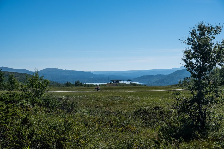 Beitostølen, Norway, nature, hike, mountains, green, summer