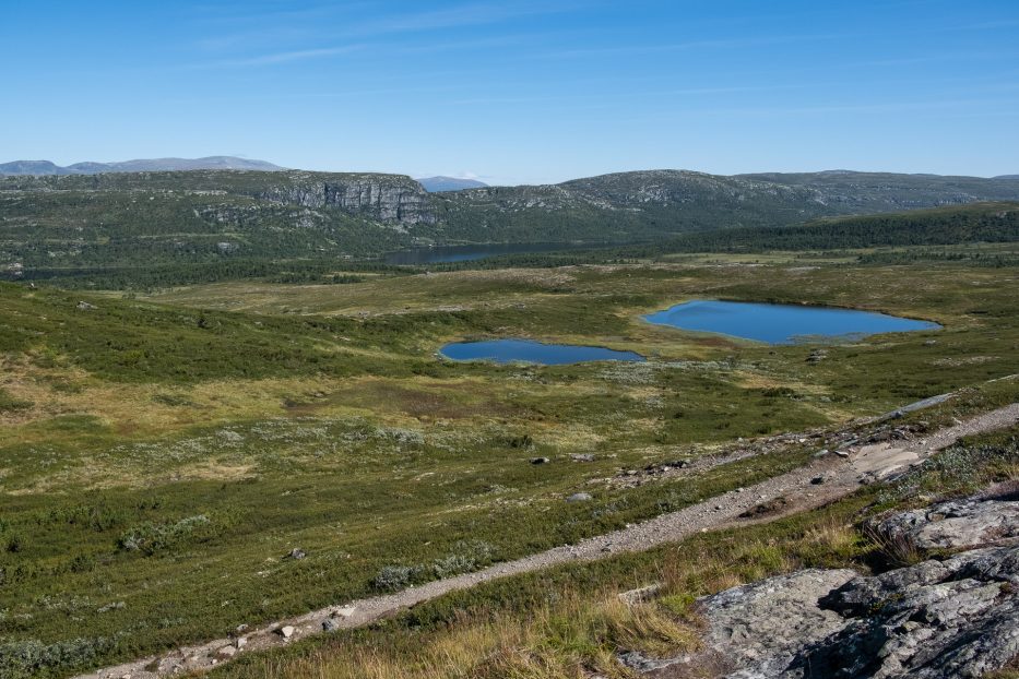 Beitostølen, Norway, nature, hike, mountains, green, summer