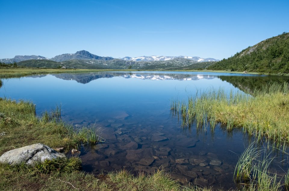 Sommertur i fjellet på Beitostølen – med bobbane og skiheis