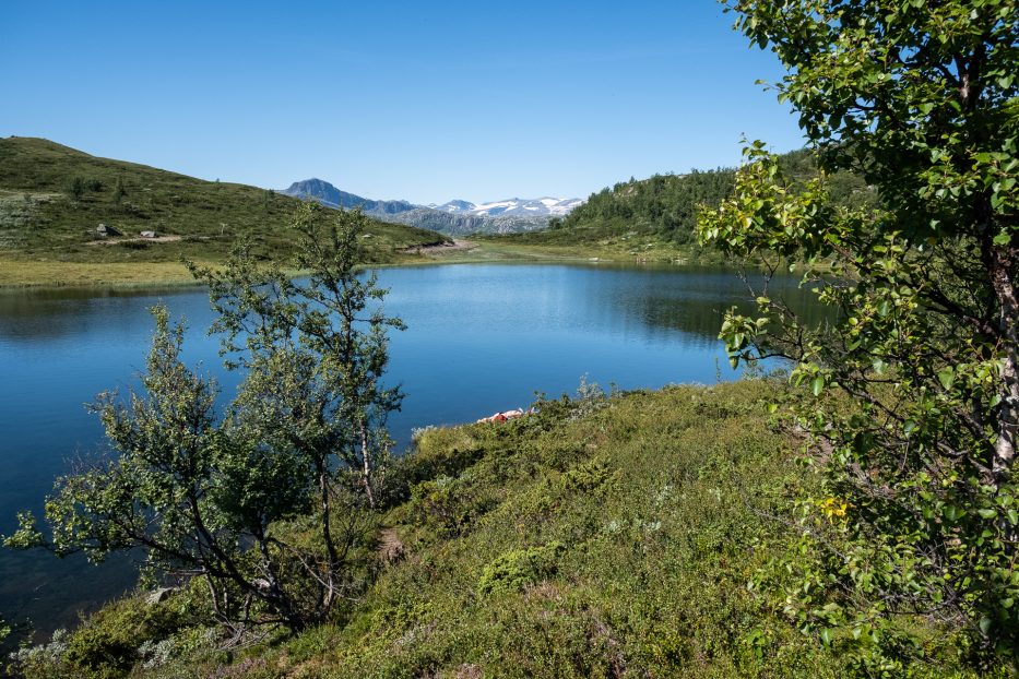 Beitostølen, Norway, nature, hike, mountains, green, summer, pond, lake, blue