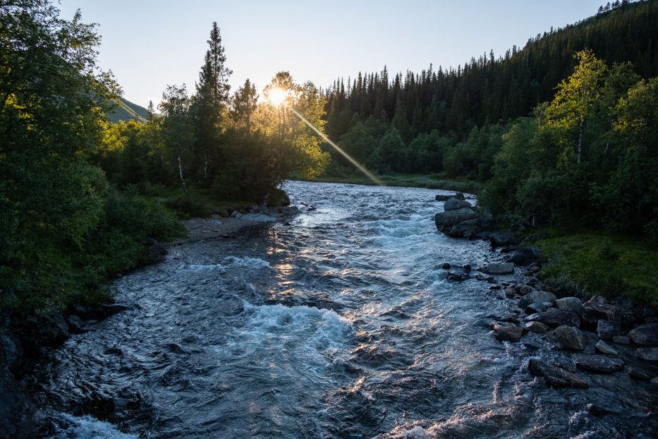 Norway, nature, river, forest, sunset