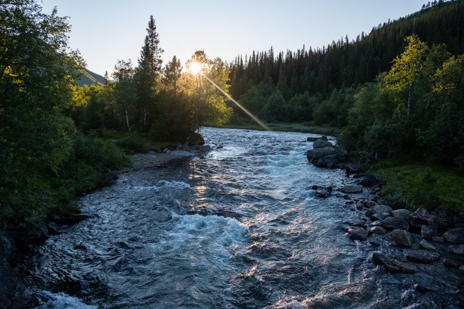 elv, solnedgang, skog, natur