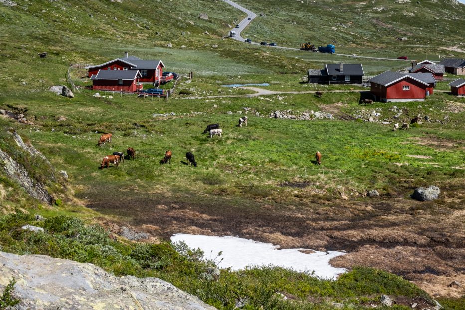 Norge, natur, Beitostølen, utsikt, fjellandskap, Synshorn Via ferrata