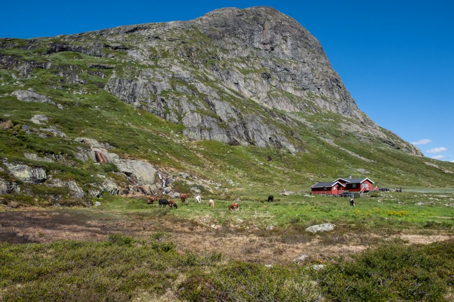 Beitostølen, Norway, Synshorn Via Ferrata, view, nature, mountains