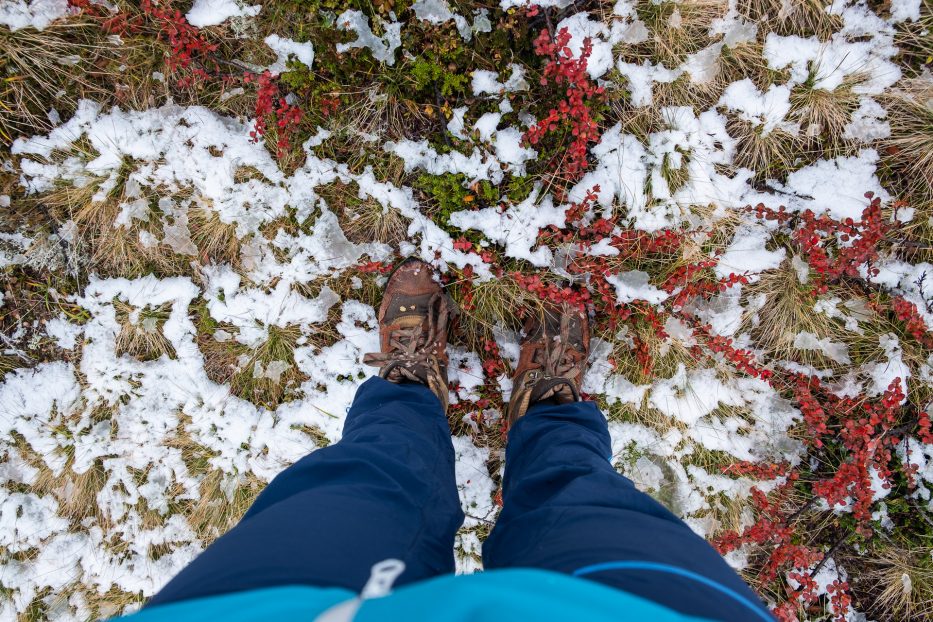 person standing on ground with autumn colors and specks of snow