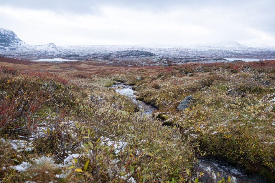 mountains covered in snow with landscape filled with autumn colors