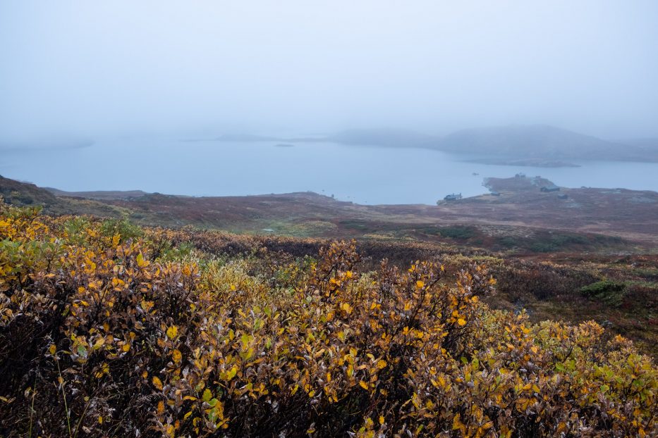 høstfarger og tåke på fjellet