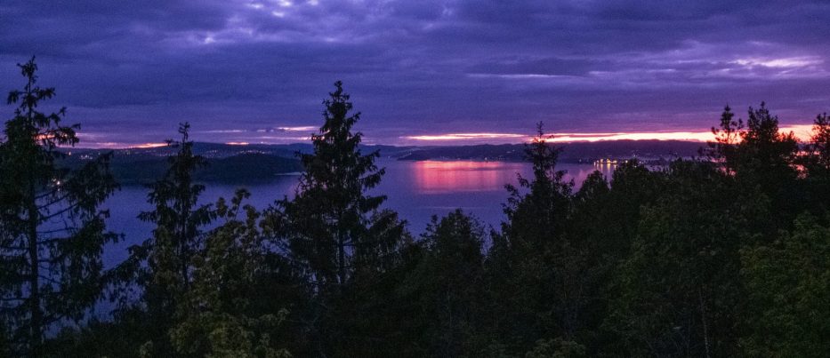 solnedgang over trær og havet i norge