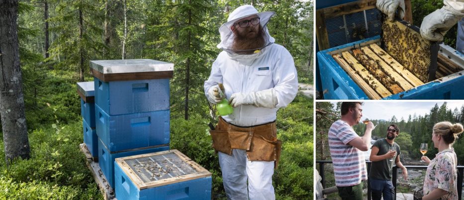 Bee farm at Fosstopp Norway