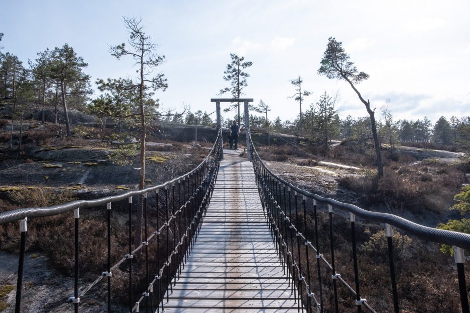 suspension bridge in the forest near canvas telemark