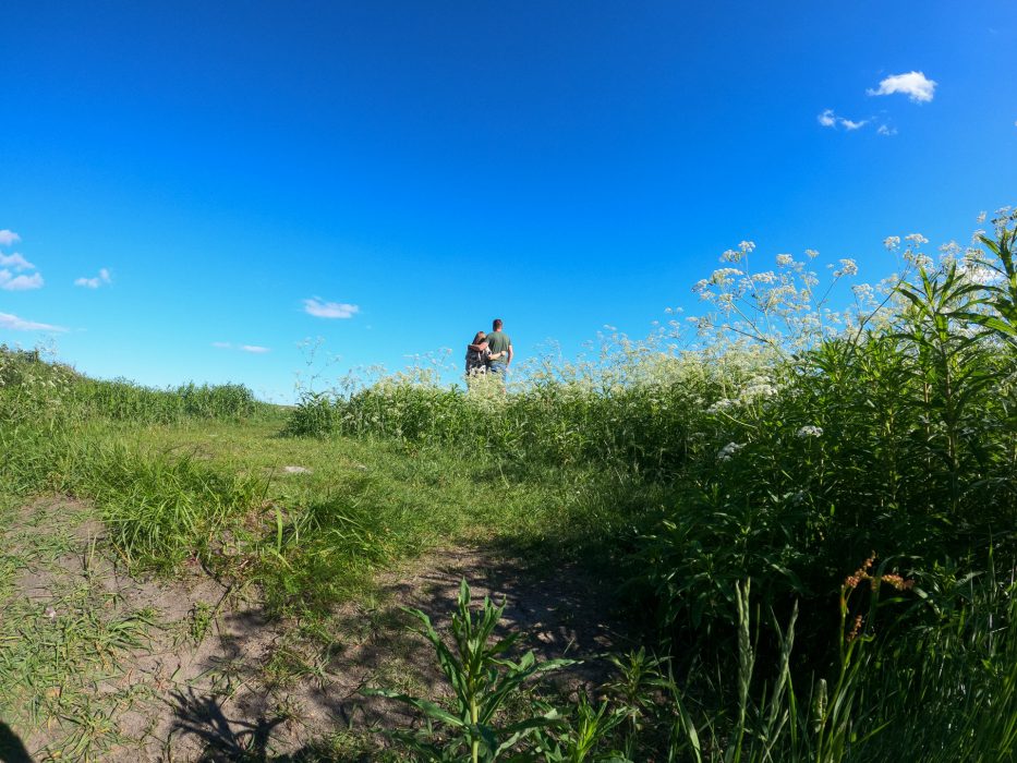Two people standing in a green hill holding each other watching the blue sky