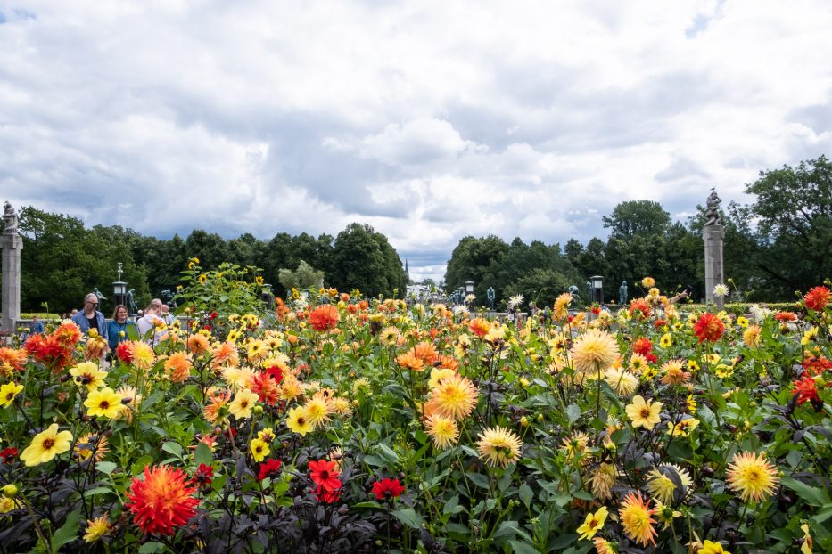 Gule og røde blomster foran flere statuer i Vigelandsparken