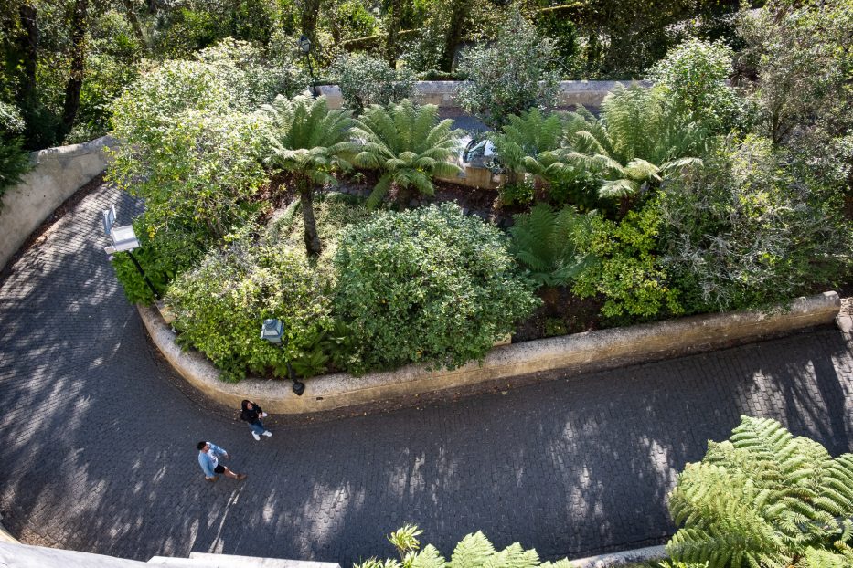 two people walking up a hil with green plants on the sides