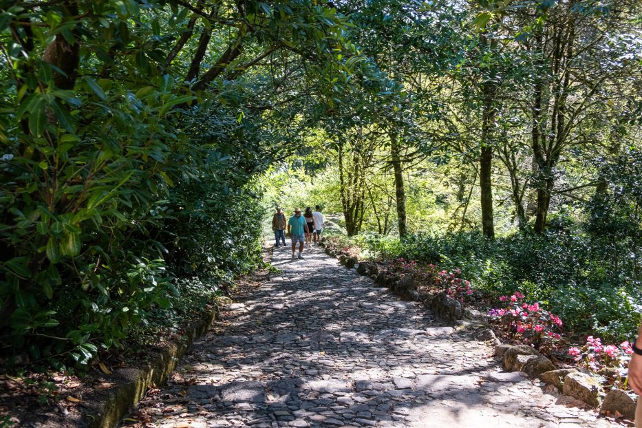 people walking up a cobblestone path with green trees on the side