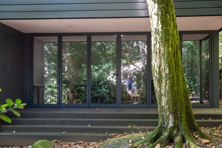 reflection of man and woman in a glass window with a green tree in front