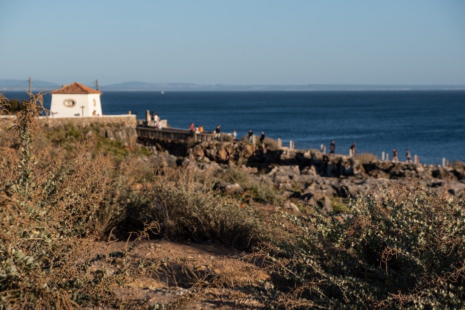 boca de inferno