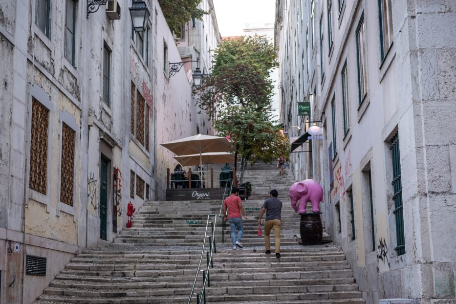 people walking up the stairs in rome