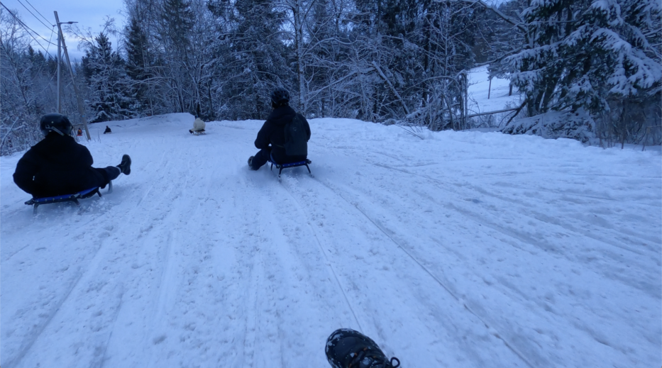 people sledging down a hill covered in snow