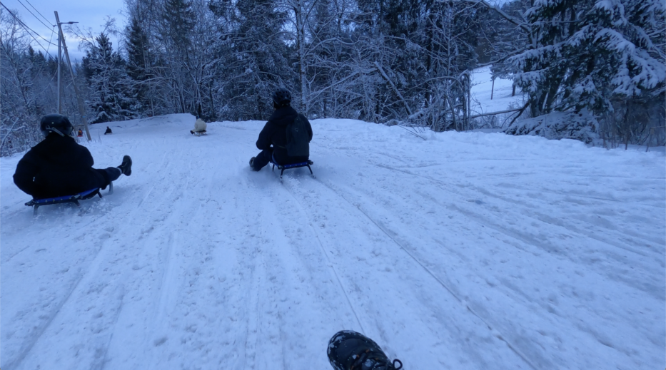 flere personer aker nedover en bakke dekket av snø