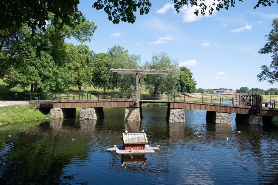 natur og fugler i gamlebyen i Fredrikstad