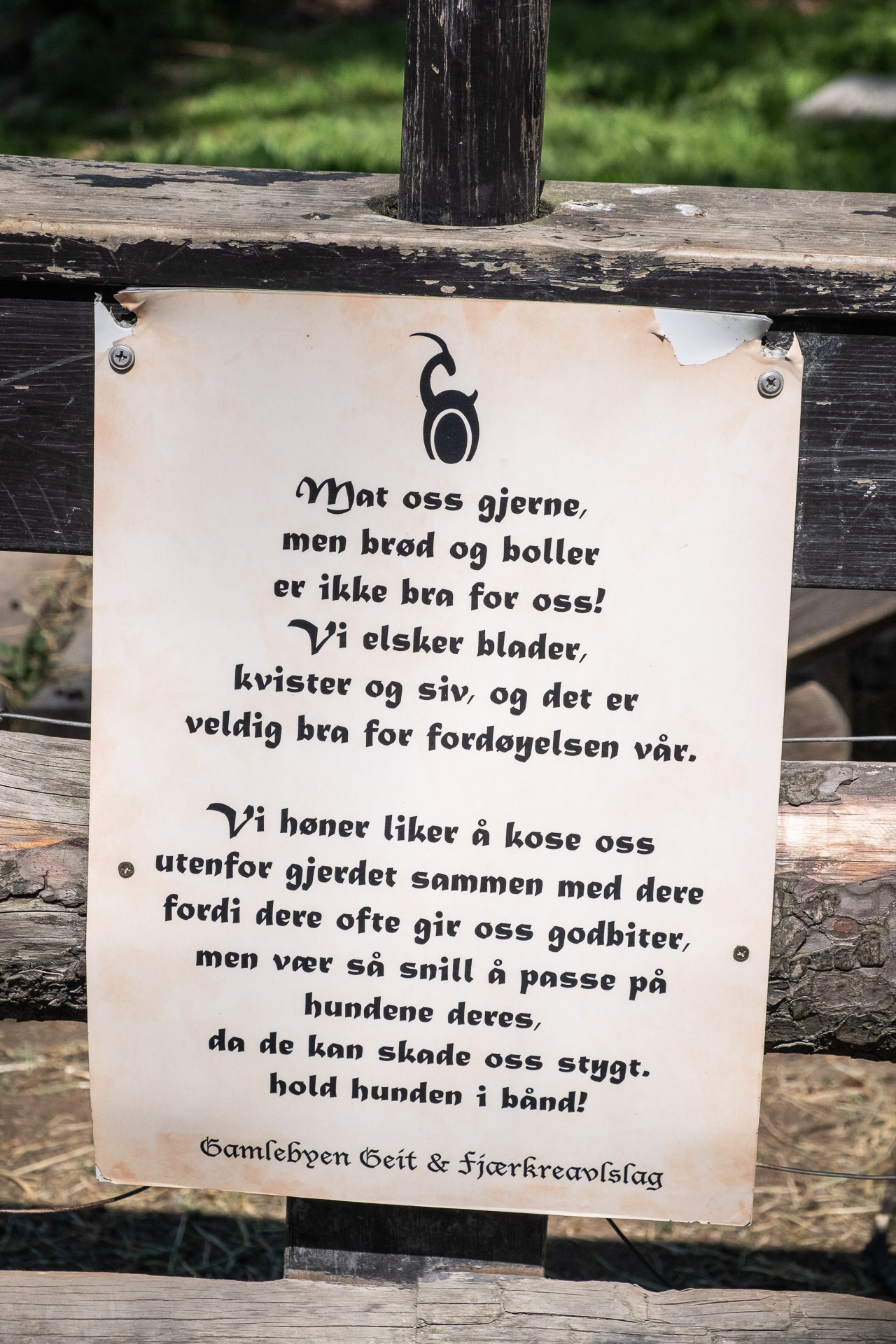 a sign from gamlebyen geit & fjærkreavlslag