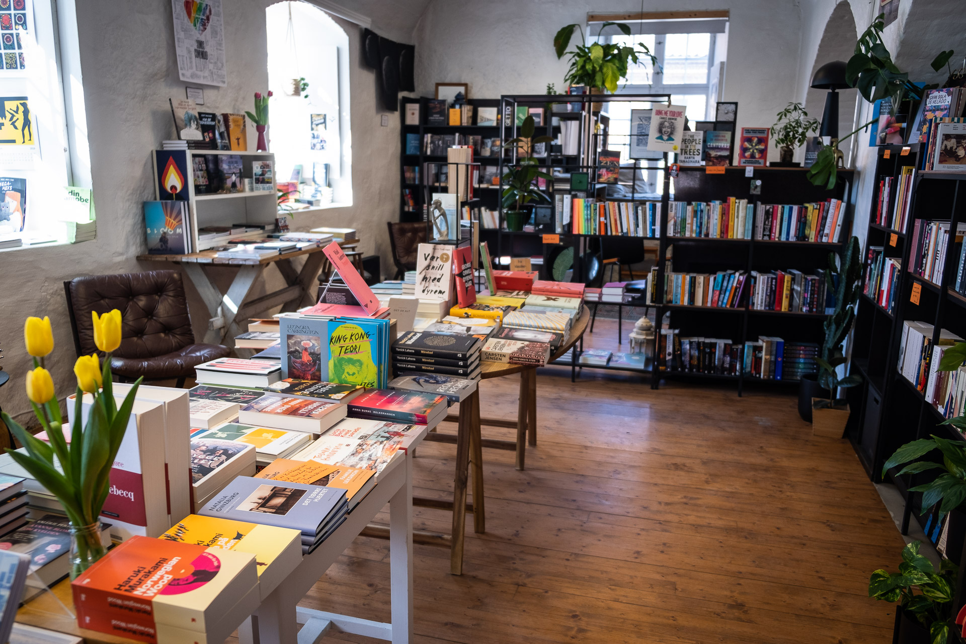 camino bok an independent store in fredrikstad