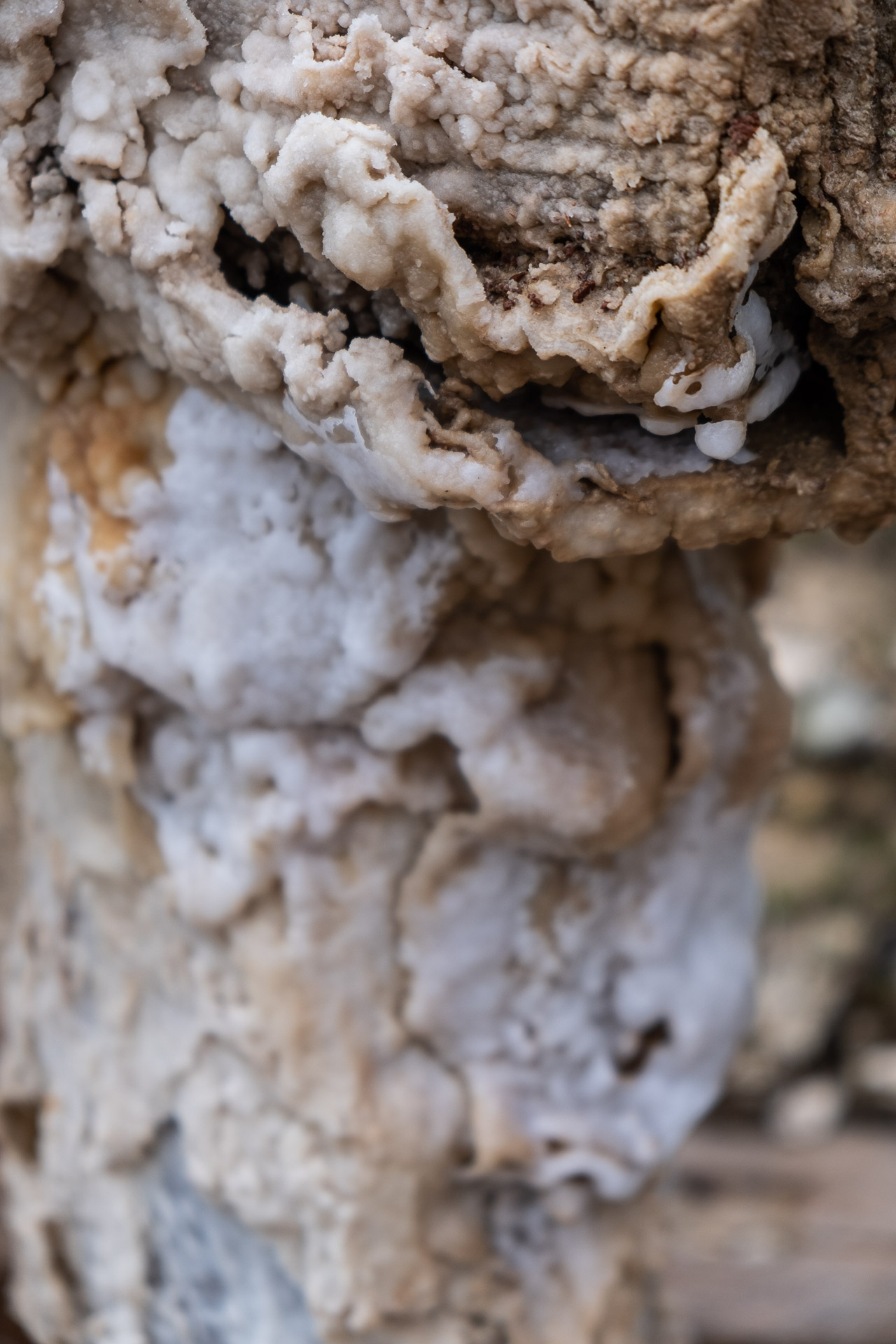 detail of salt at Valle Salado