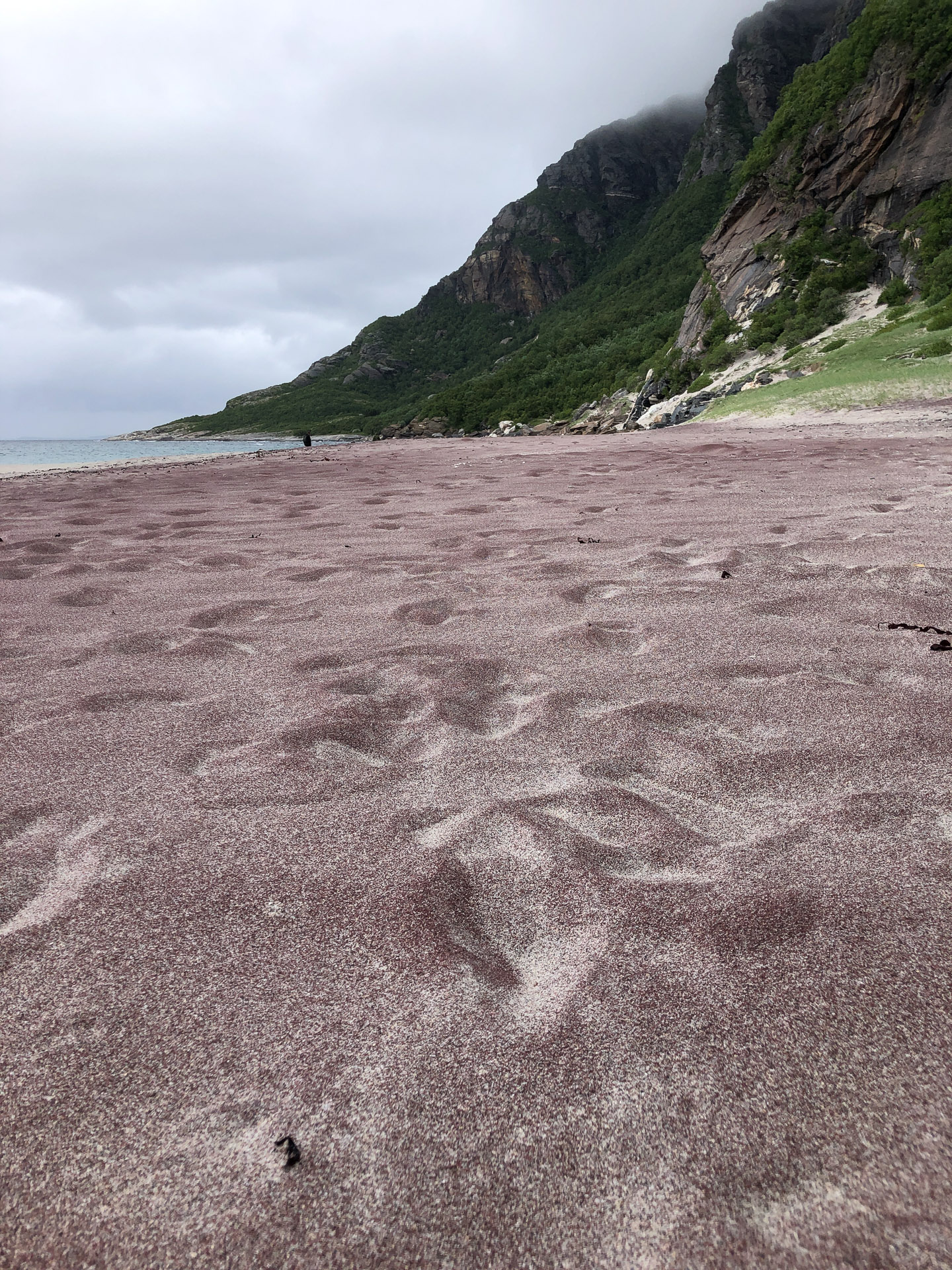 pink sand at mjelle beach with footprints