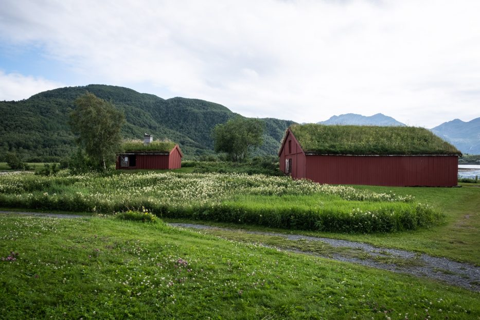red wooden houses with grass own the roof at kjerringøy