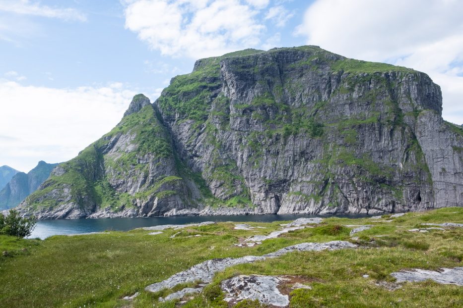 green nature, the sea and a mountain on a sunny day in lofoten