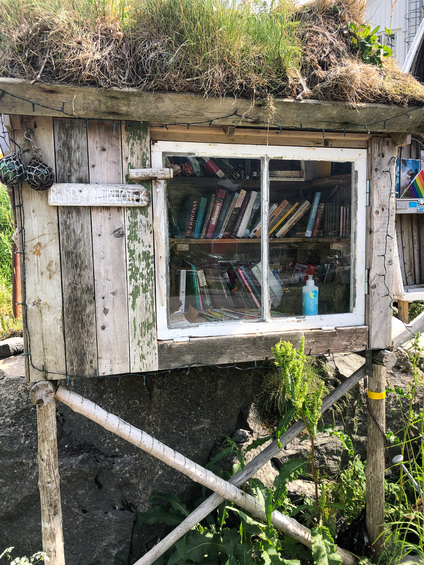 a small library at catogården in lofoten