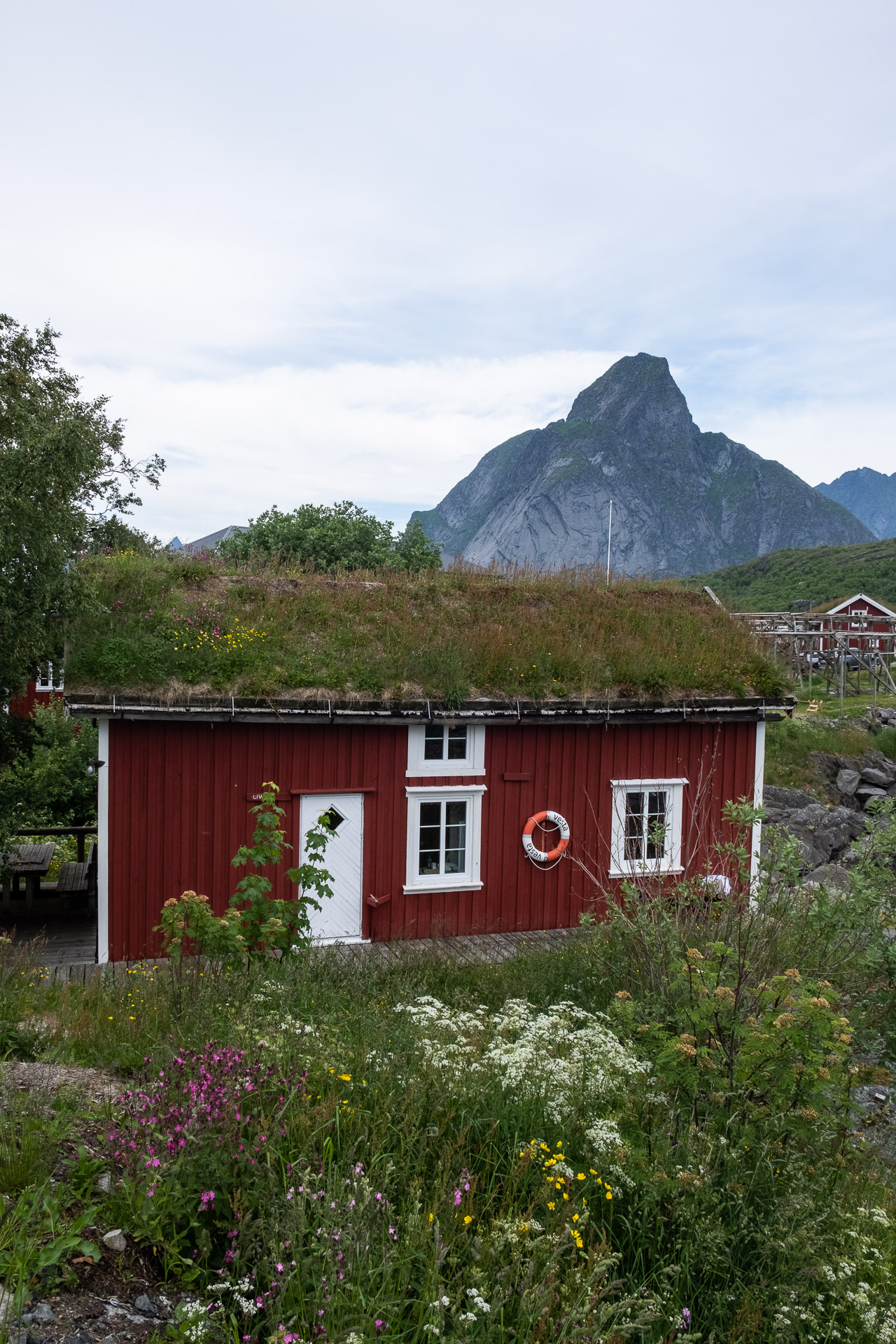 a red house with green grass on the roof and mountains in the back