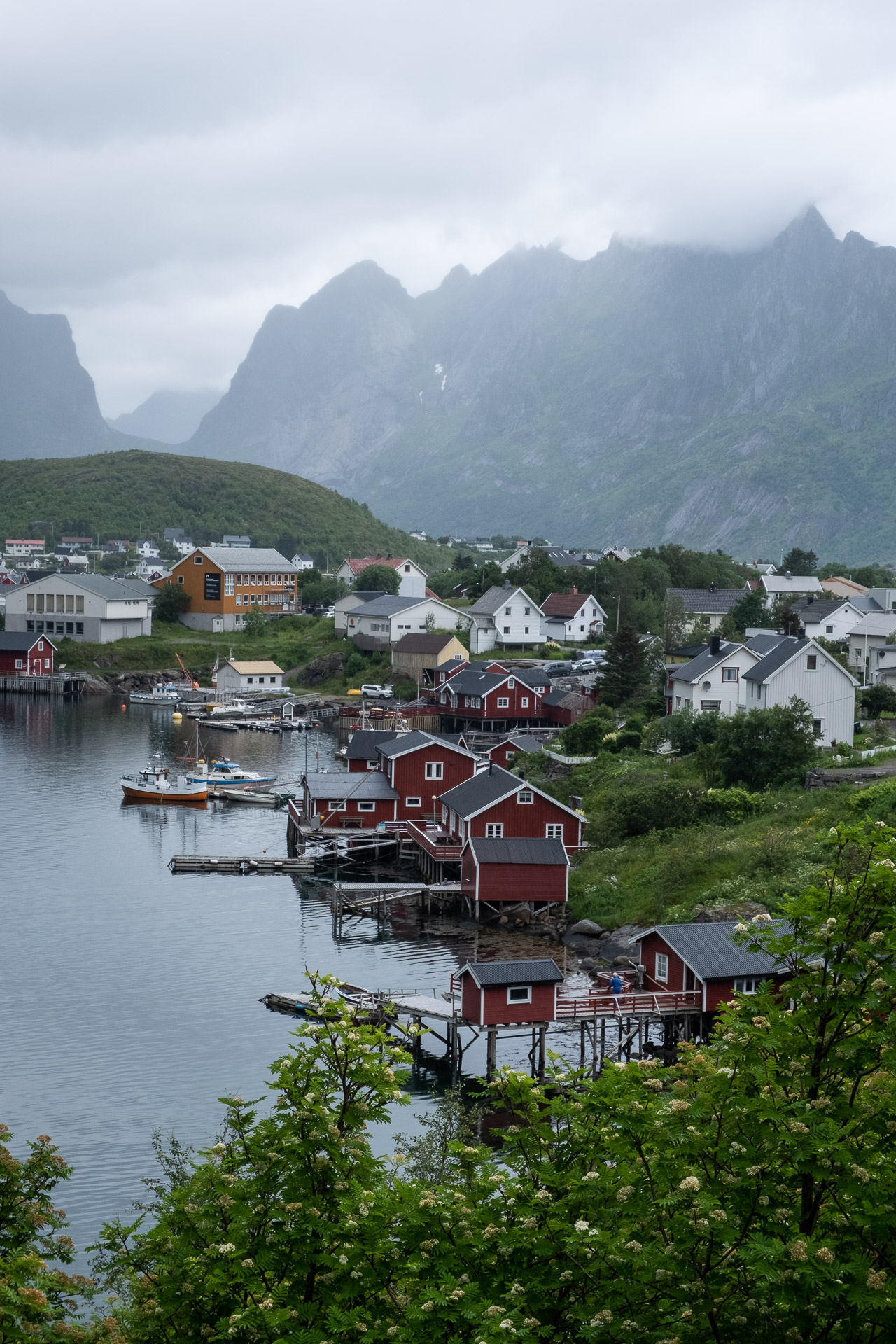 reine on a gray day