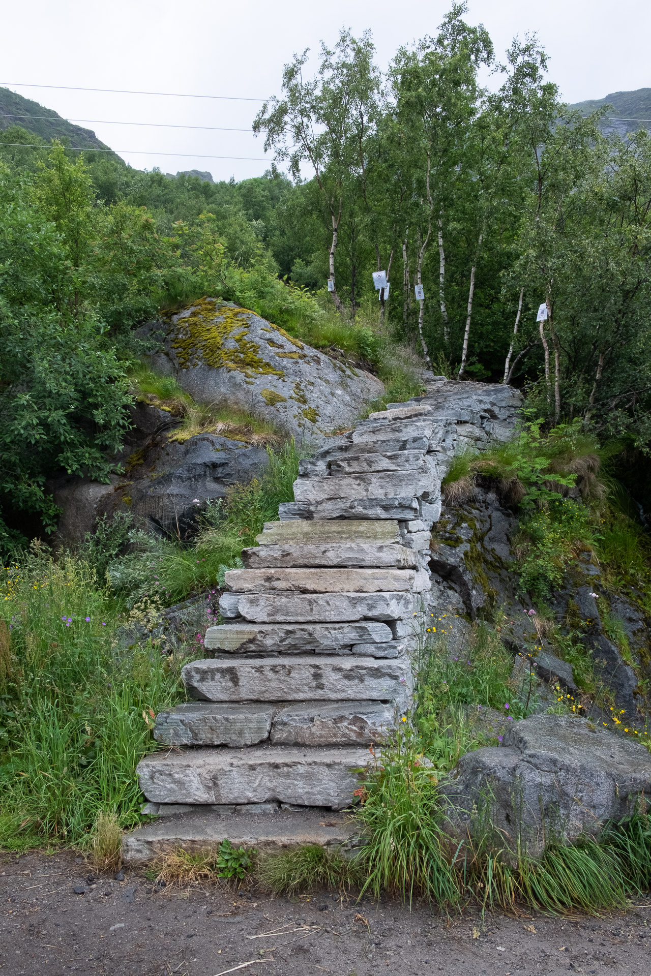 the beginning of the sherpa steps at reinebringen