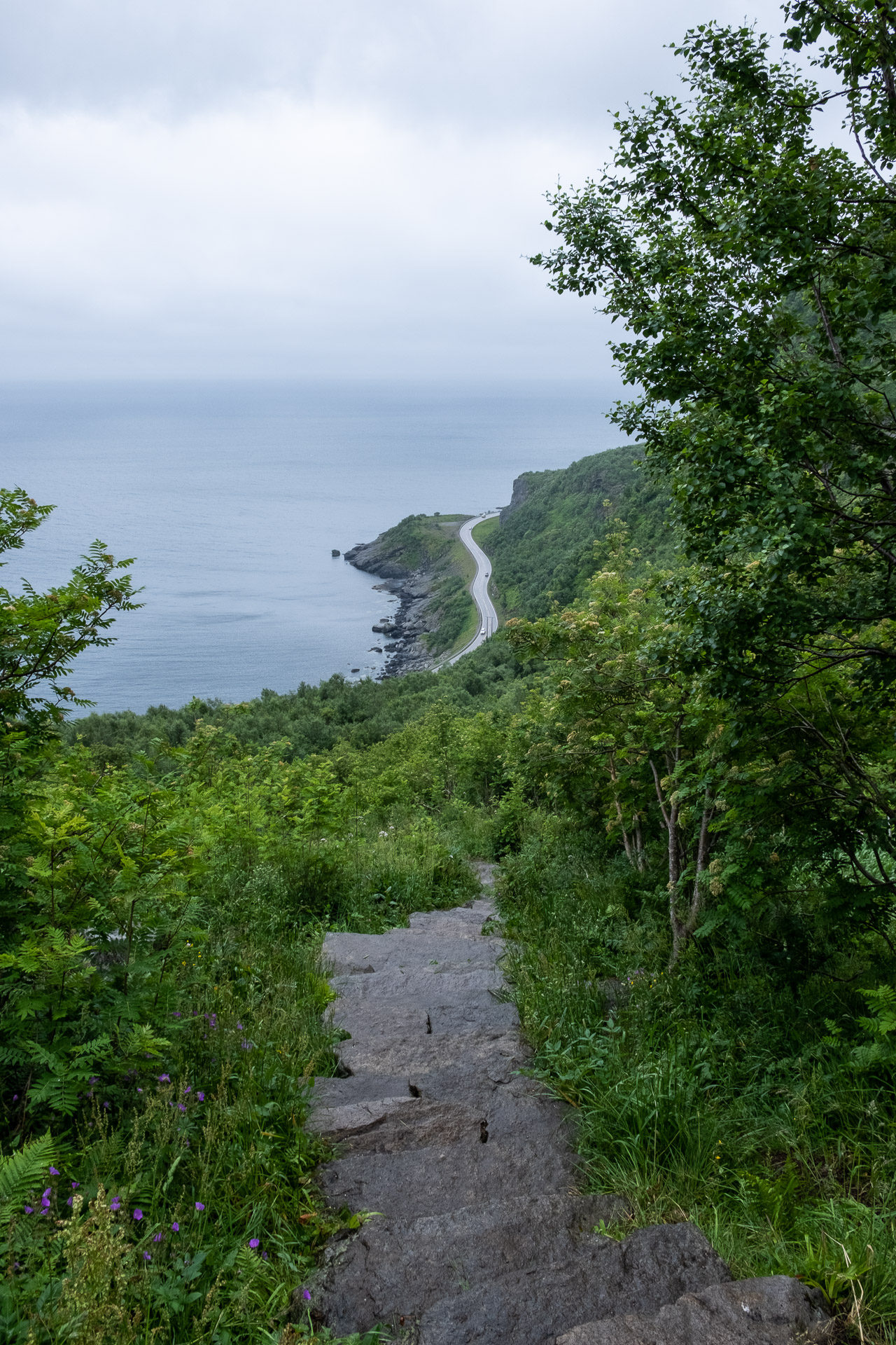 view down from the sherpa steps at reinebringen