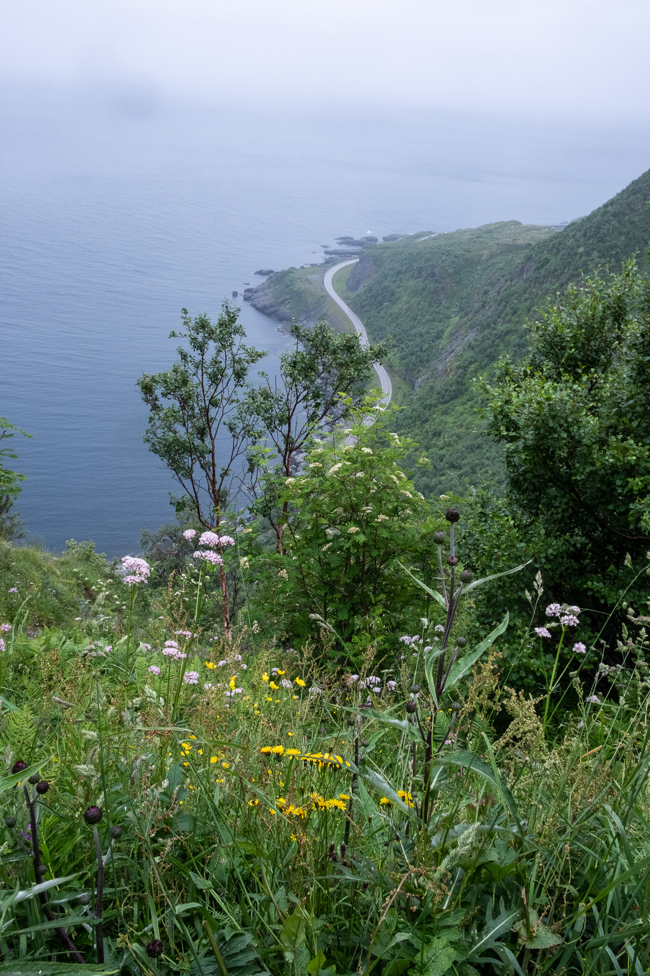 view from reinebringen