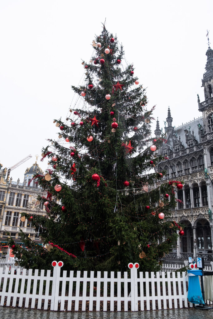 christmas tree at grote markt in brussels