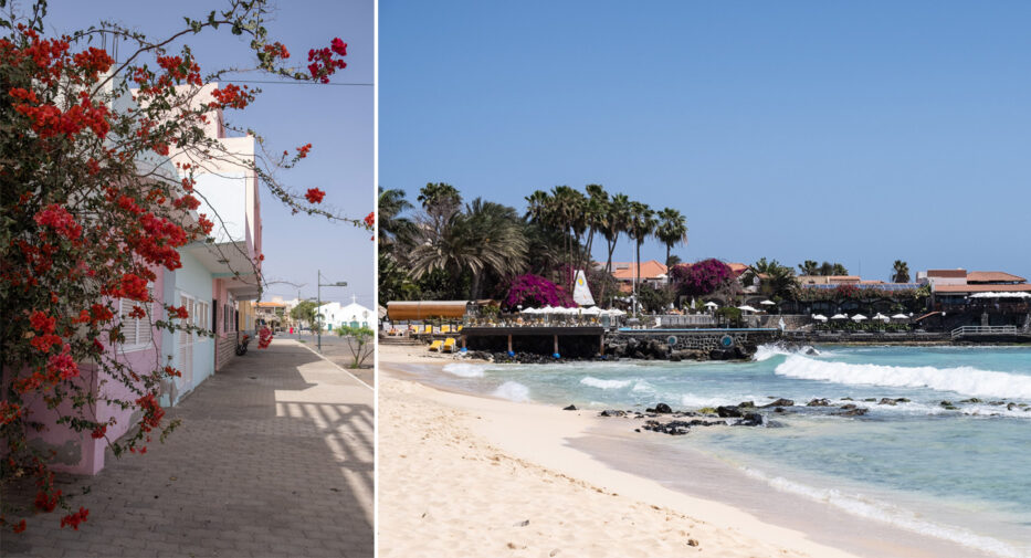 collage of flowers and pastel houses and the beach in santa maria at sal island in cape verde