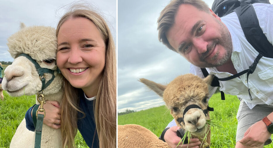 smiling man and woman posing with alpaccas