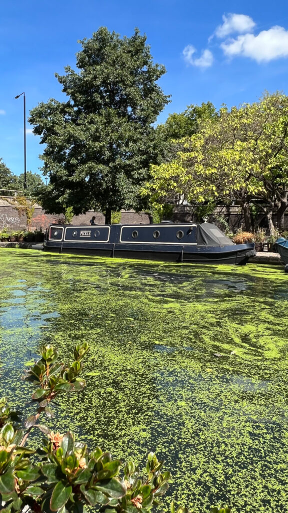 svart kanalbåt på grønt pollenvann i little venice i london