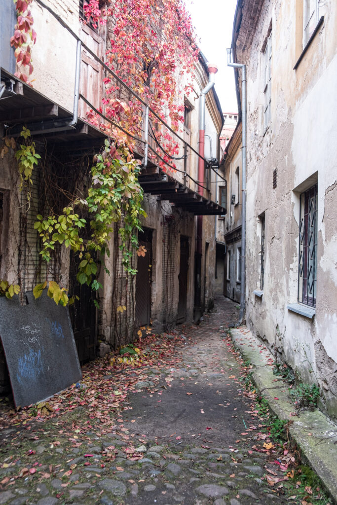 narrow ally in the old town of vilnius with green and red leafs