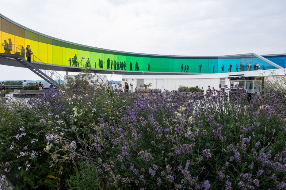 a group of people walking through the colourful art at aros in aarhus, with purple flowers in front