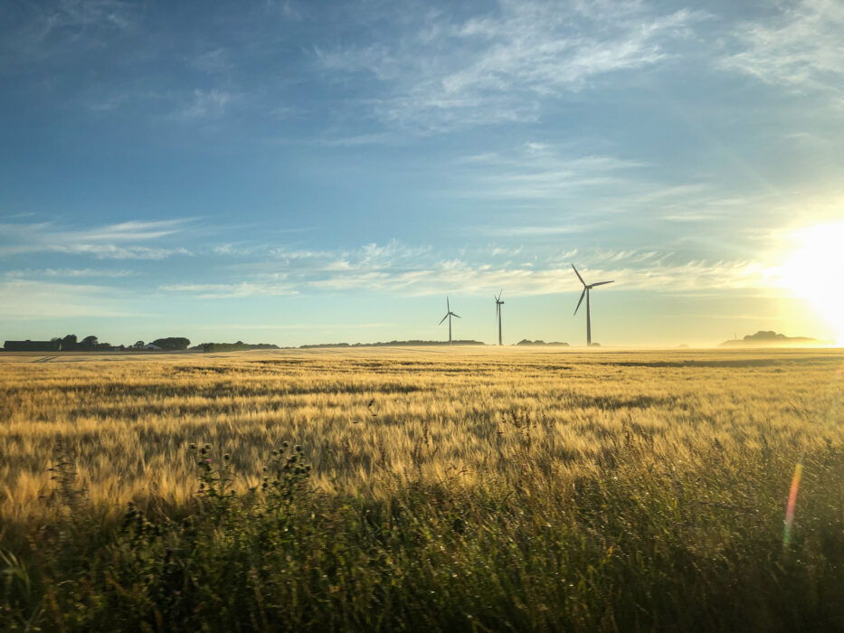 windmills in sunrise on a field in jutland denmark