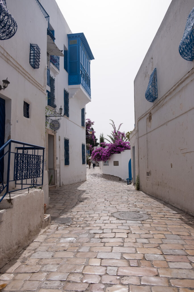 one of the many narrow cobblestone streets in sidi bou said