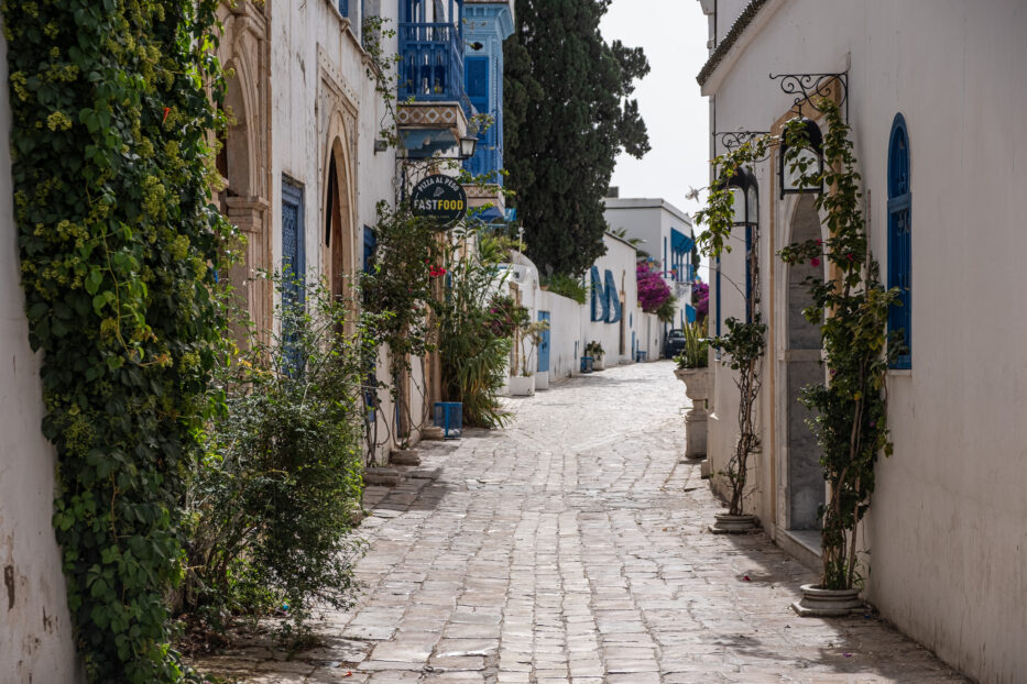 narrow cobblestone streets and houses in white with blue details typical sidi bou said style in tunisia