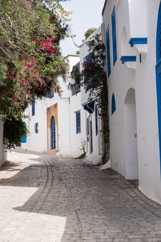 cobblestone street and white house with blue details in sidi bou said