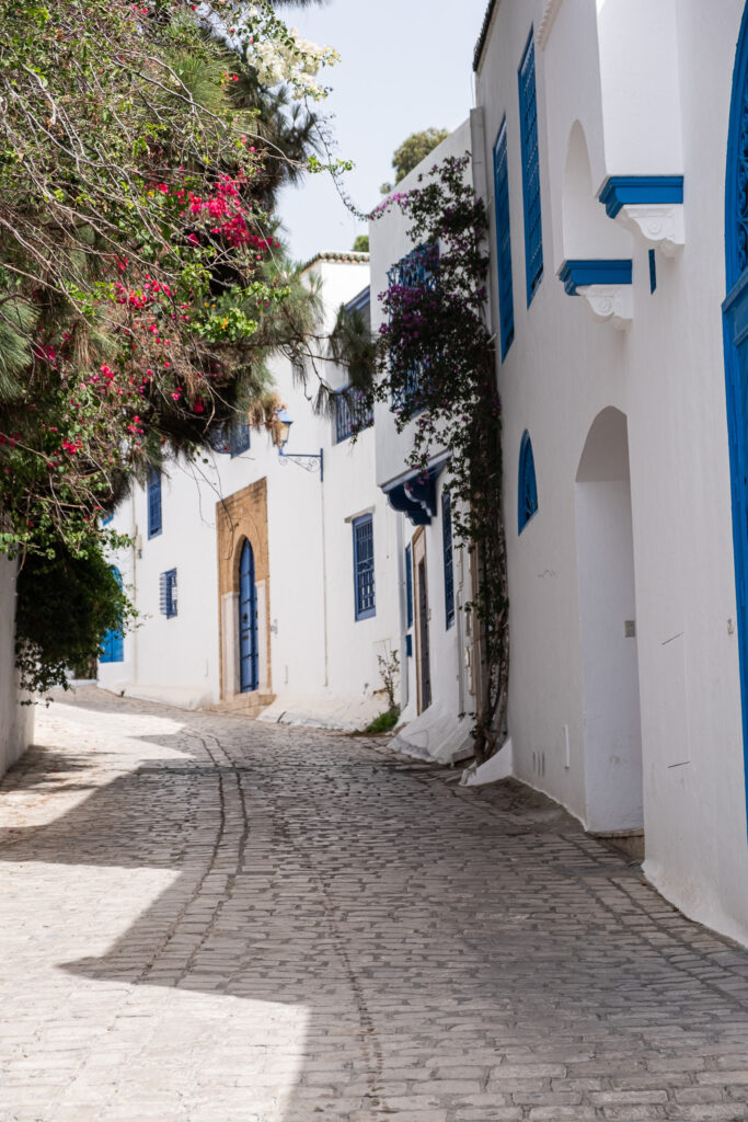 brosteinsgate og hvitt hus med blå detaljer i sidi bou said