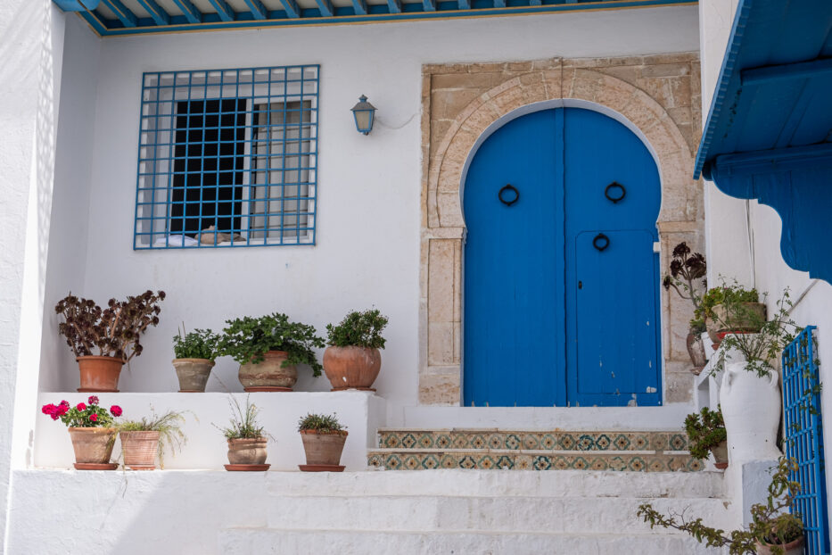 flowers and plants in vases outside a house i sidi bou said